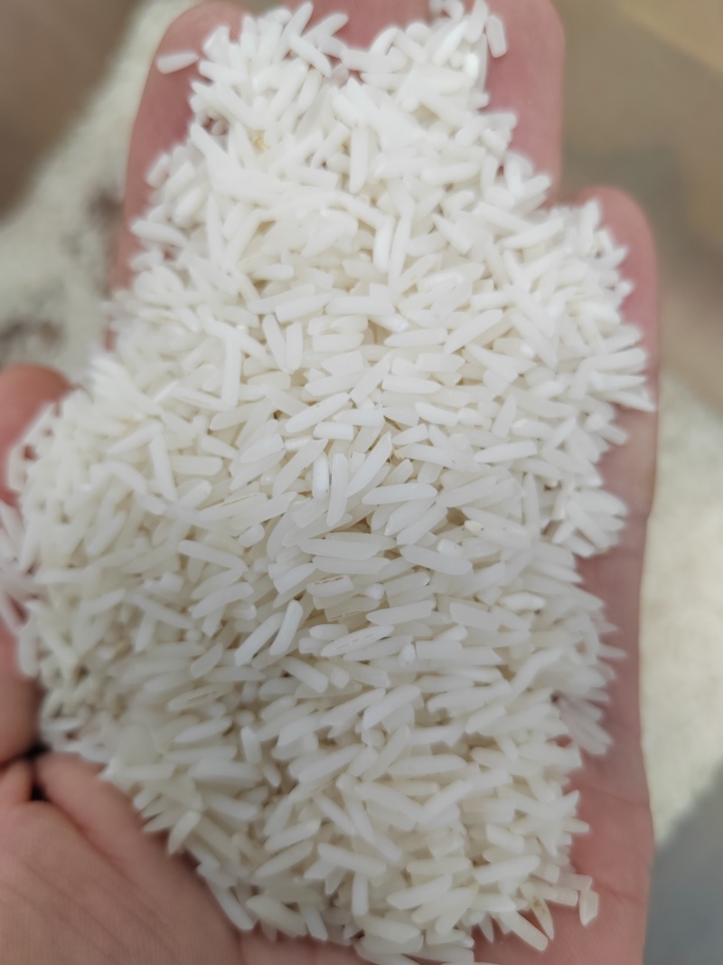 长粒香米