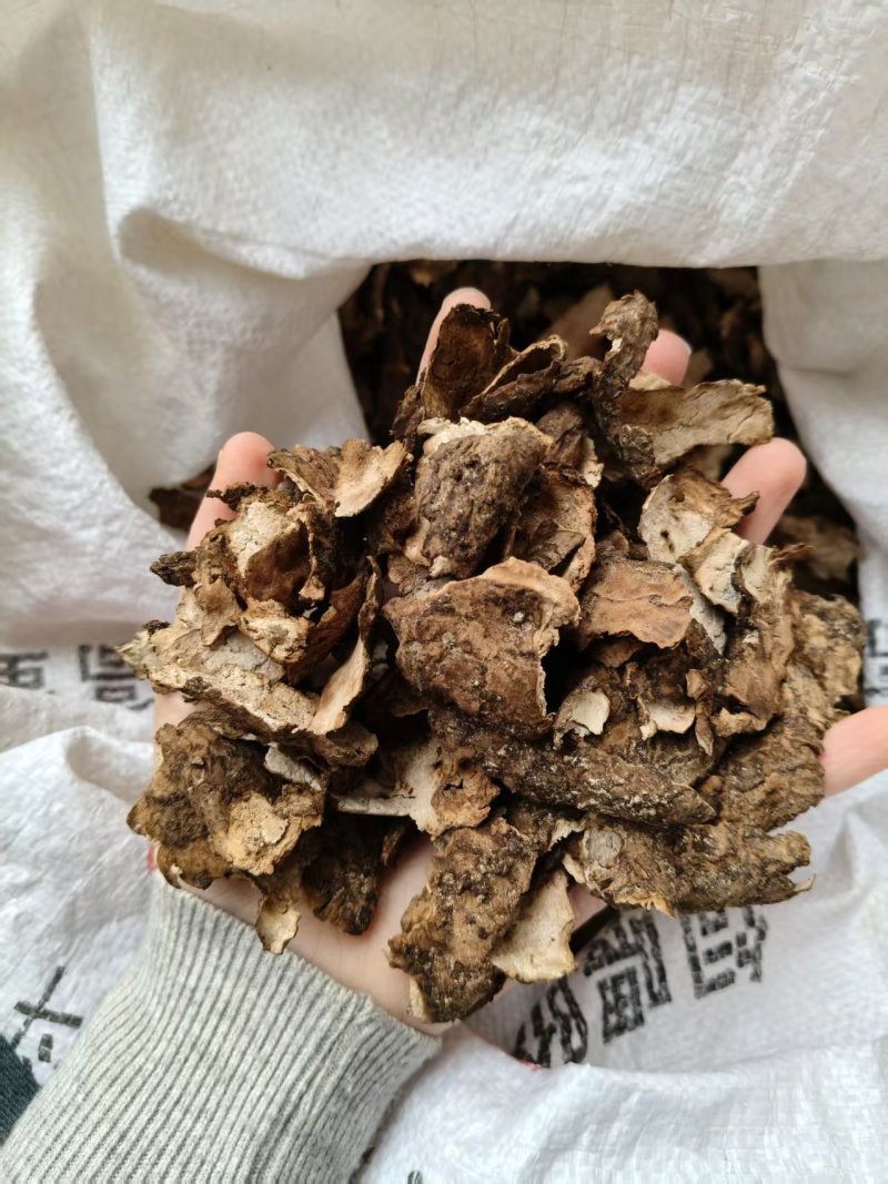 茯苓皮