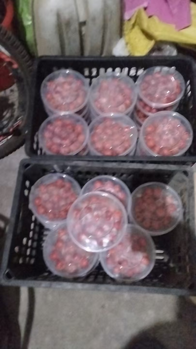 山东山楂甜红子山楂大量现货供应，品种齐全，视频看货