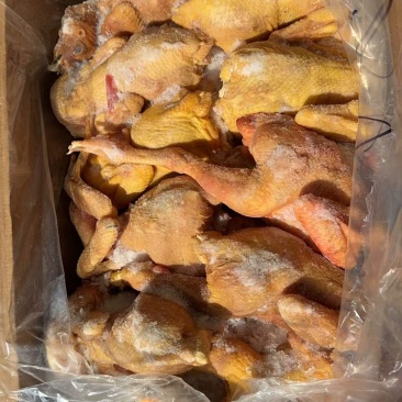 厂家二级公鸡800件，9.5kg