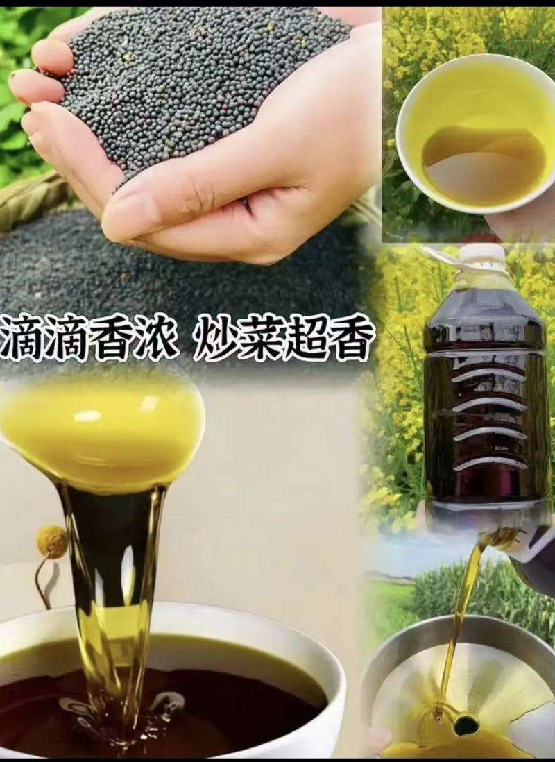 【精品推荐】农家自榨纯菜籽油大量供货货源充足