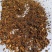 白桦茸沫子批发支持代发1000克桦树茸沫子