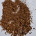 白桦茸沫子批发支持代发1000克桦树茸沫子
