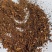 白桦茸沫子批发支持代发1000克桦树茸沫子