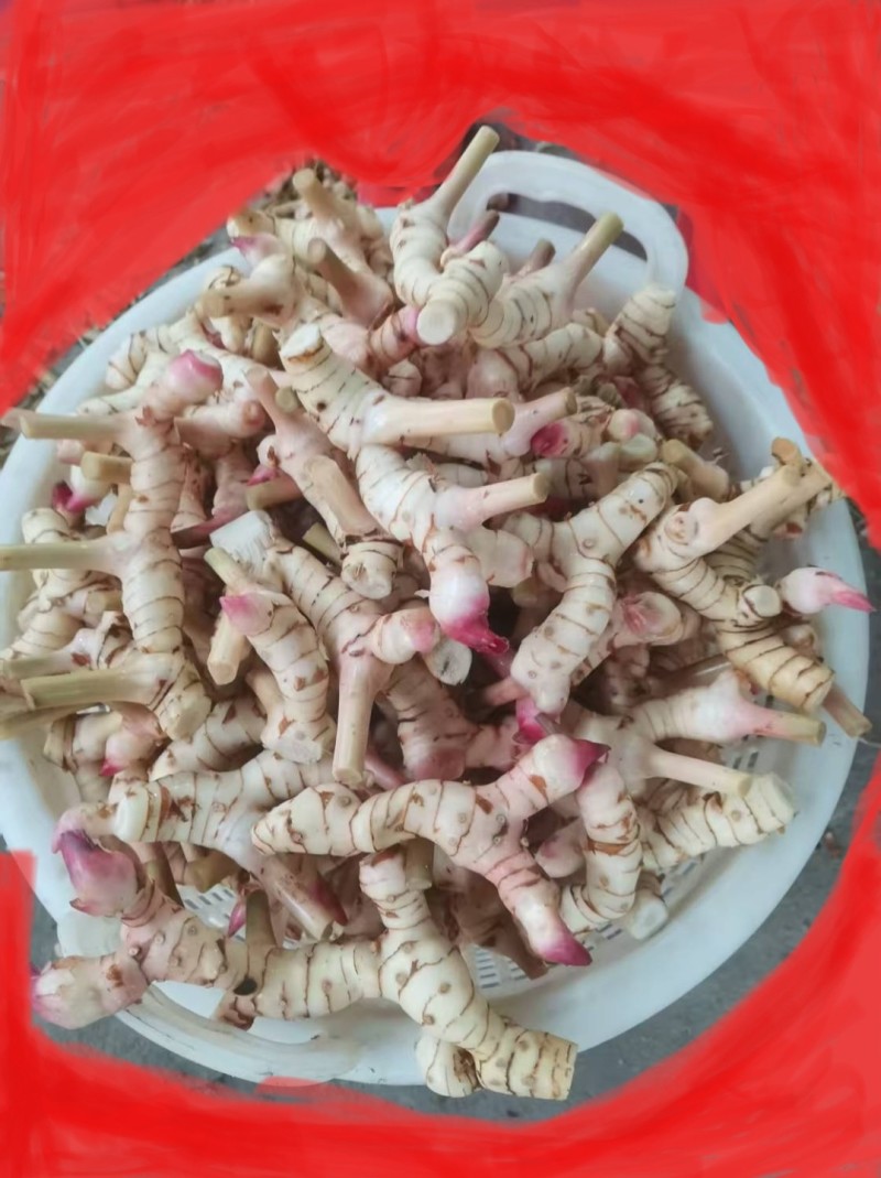 南姜干片
