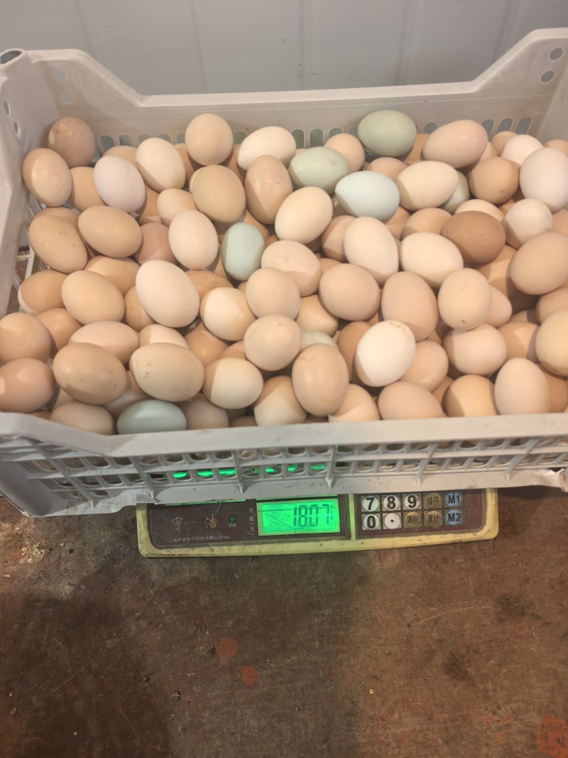 散养土鸡蛋自产自销天然玉米黄品质保证0添加