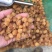 桂圆肉桂圆肉干龙眼肉龙眼肉干实物拍摄货真价实