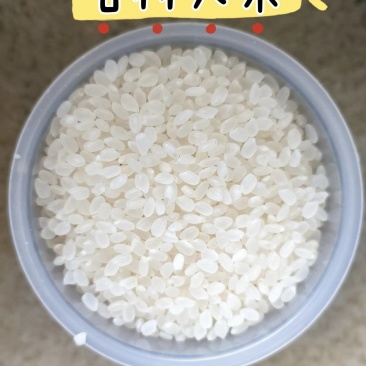【吉林大米】精品东北大米/25年新米/电商团购特价批发
