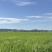 【吉林大米】精品东北大米/25年新米/电商团购特价批发