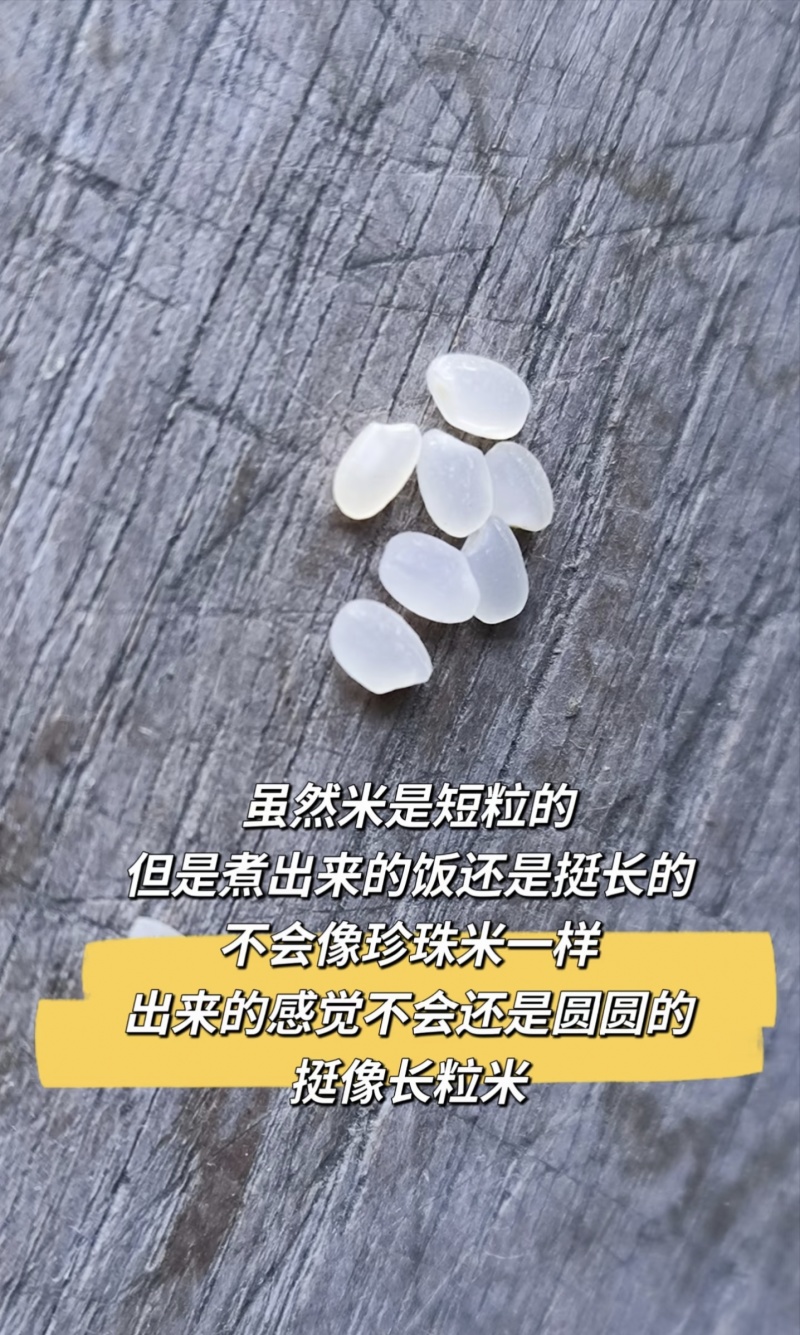 【吉林大米】精品东北大米/25年新米/电商团购特价批发