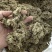 艾绒中等货批发支持代发1000克艾绒