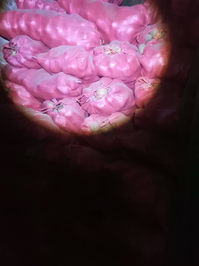 V7，产地一手货源，对接市场电商平台，量大优惠，视频看