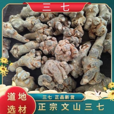 三七云南文山三七田七各种规格实物拍摄免费磨粉