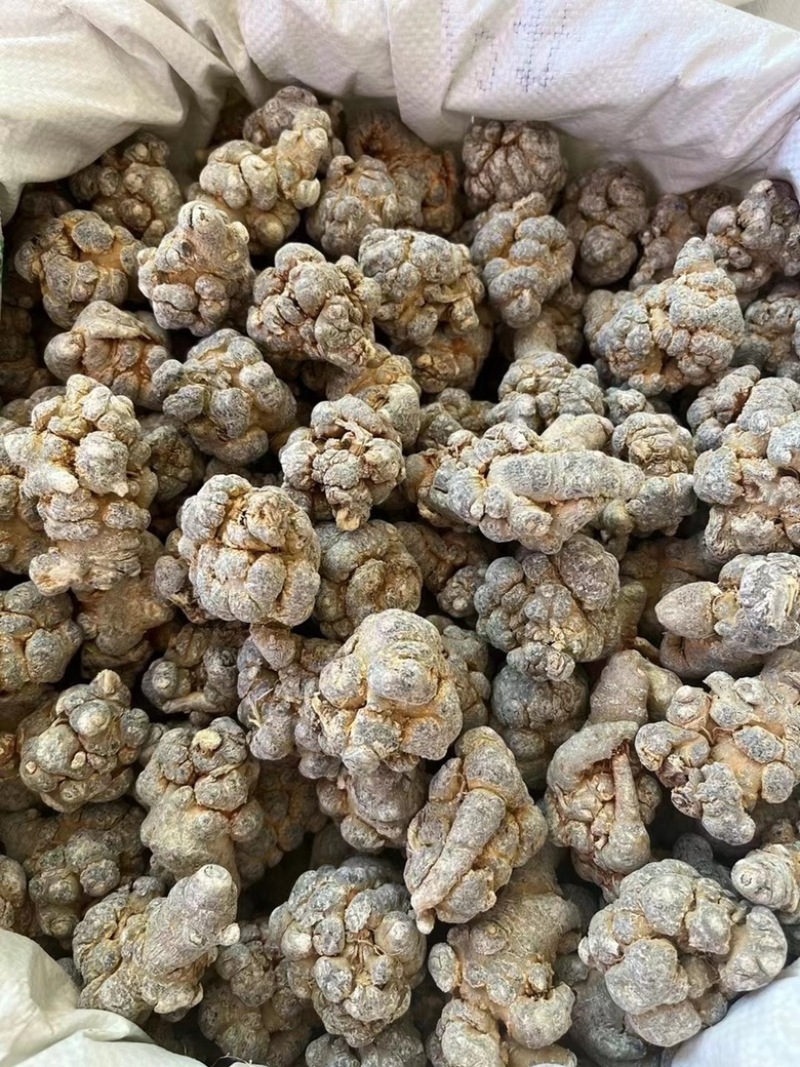 三七云南文山三七田七各种规格实物拍摄免费磨粉
