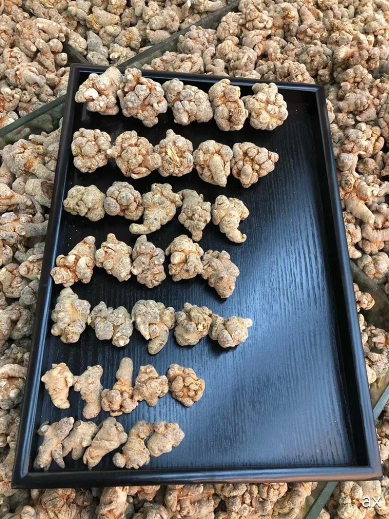 三七云南文山三七田七各种规格实物拍摄免费磨粉