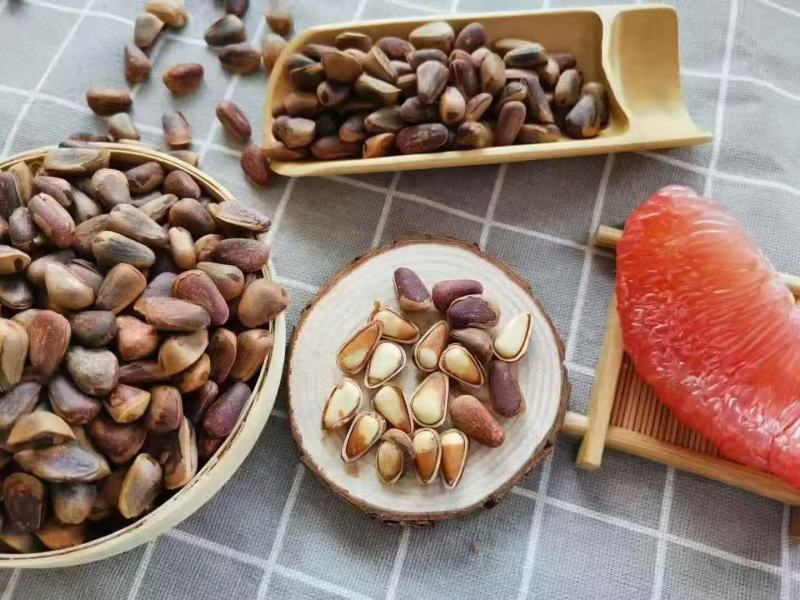东北红松子开口松子物理开口原味黑龙江松子非油炸
