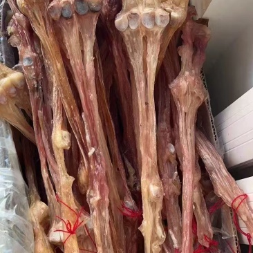 带骨牛筋，主筋，附筋