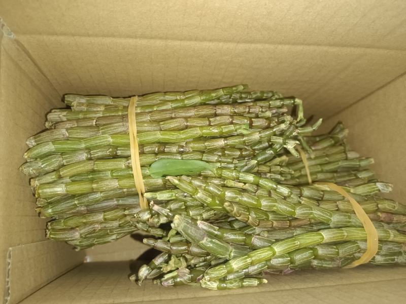 鲜货石斛各规格有货，有需要的老板放心入手实物拍摄量大丛优