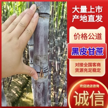 正宗黑皮甘蔗，产地直发，一手货源批发，电商平台，社区团购