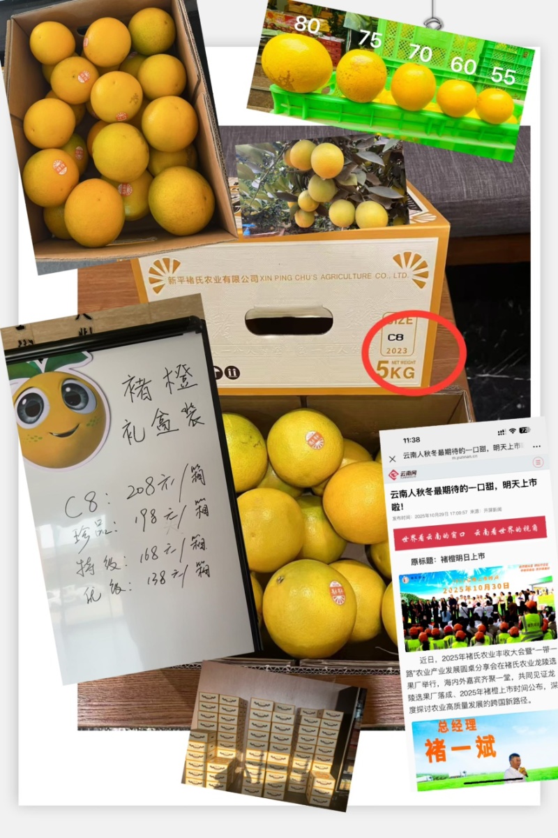 云南哀牢山褚橙，10斤包装盒扫码验真伪，产地直发一件包邮