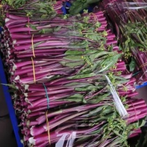 贵州红菜苔大量上市