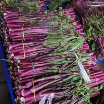 贵州红菜苔大量上市