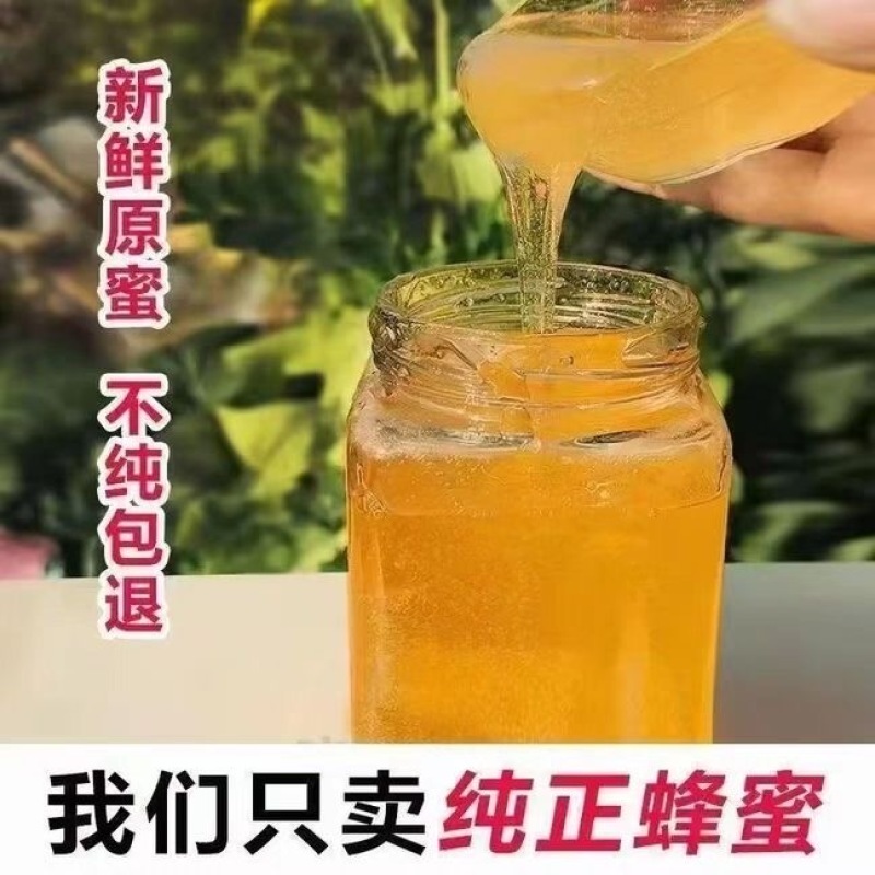 秦岭野生土蜂蜜/蜂蜜/对接批发市场采购商超等