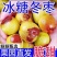 河北沧州冬枣/产区直发/大量现货/支持一件代发