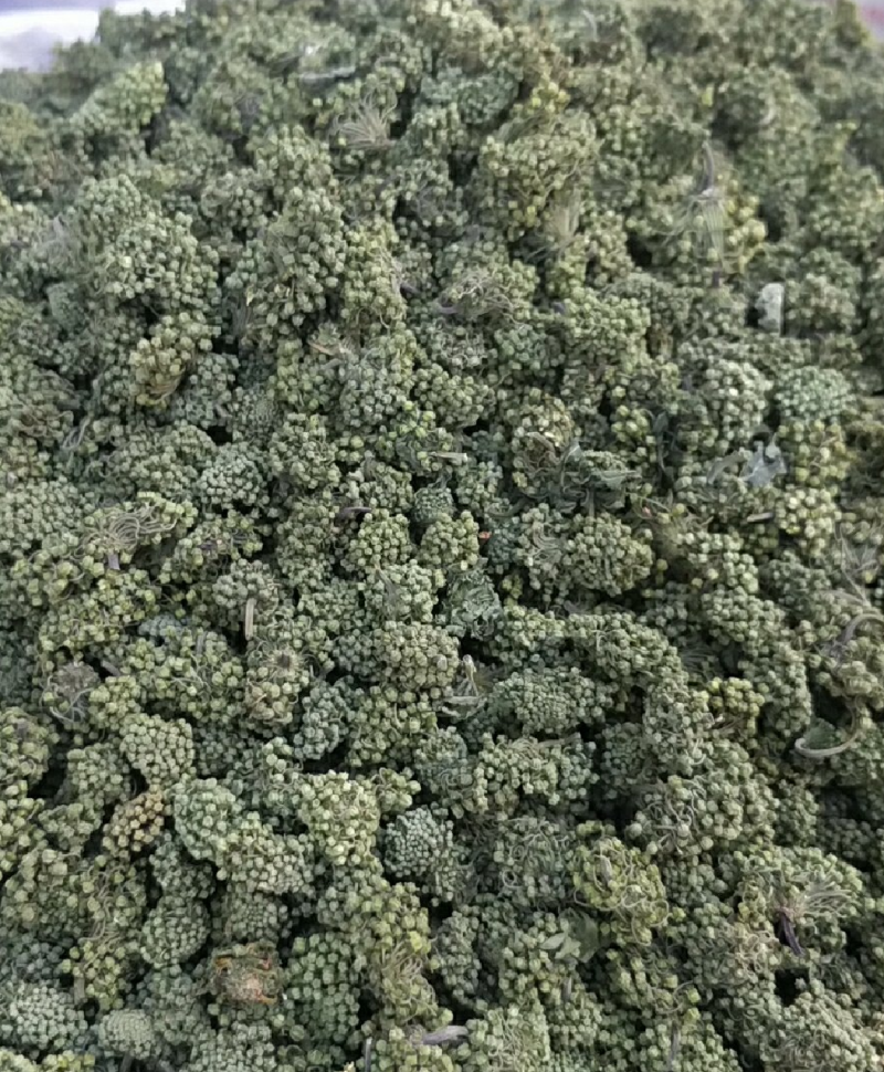 三七花各种规格有货常年经营大货批发产地直发实物拍摄