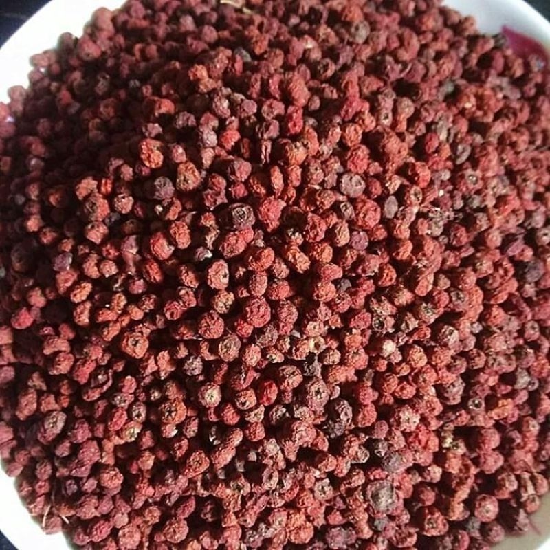 中药材赤阳子火棘果