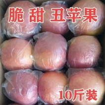 红富士一件代发供应链