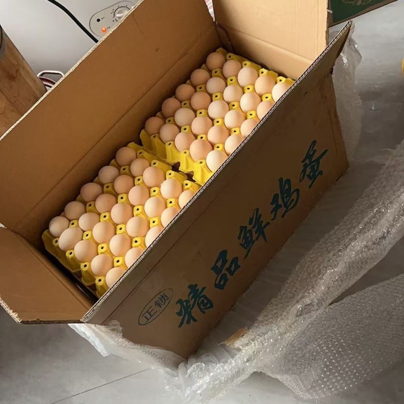 鸡蛋粉壳鸡蛋红壳鸡蛋白壳鸡蛋大码蛋现捡现发新鲜鸡蛋