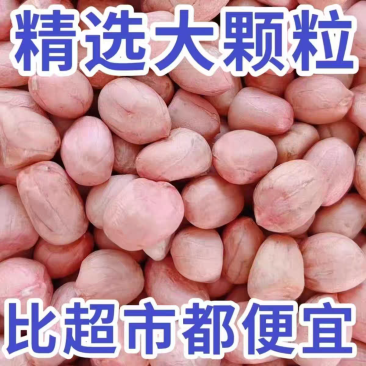 新货白沙花生米水分9-10无霉变无坏颗粒全国发货过筛
