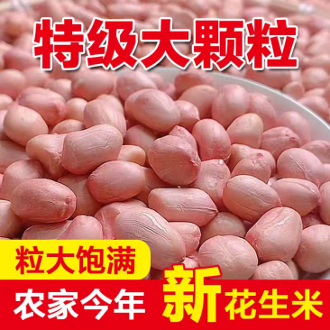 白沙花生米水分9-10无霉无坏颗粒全国发货过筛8-10