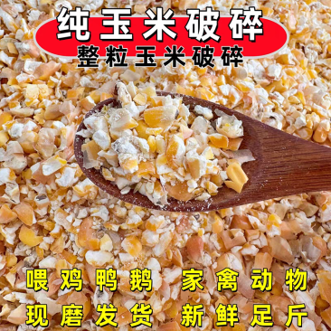 碎玉米粒水分10-11无霉变无坏颗粒无土无沙全国发货