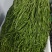 精品贡菜干贡菜健康干菜贡菜原产地直发量大优惠