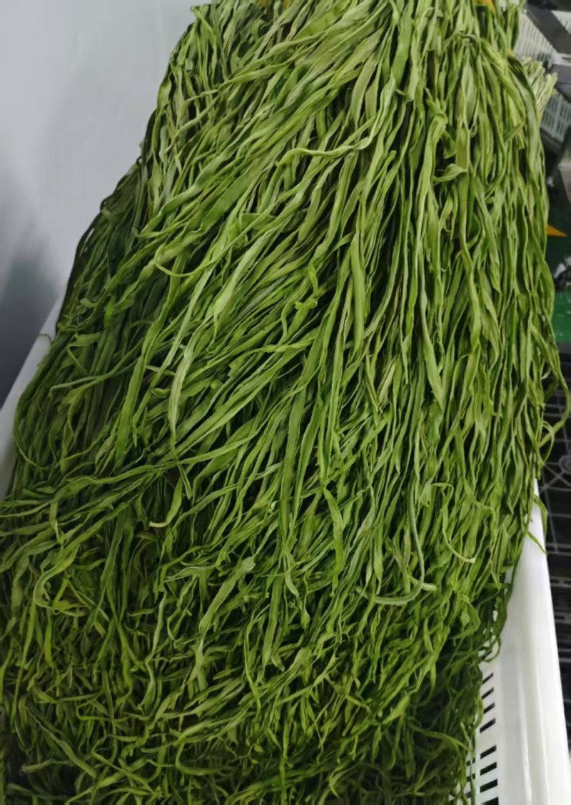 精品贡菜干贡菜健康干菜贡菜原产地直发量大优惠