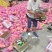 全国一件代发8块钱一箱包邮