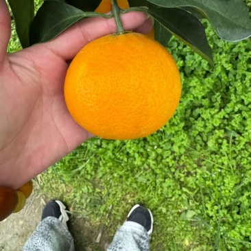 全国一件代发8块钱一箱