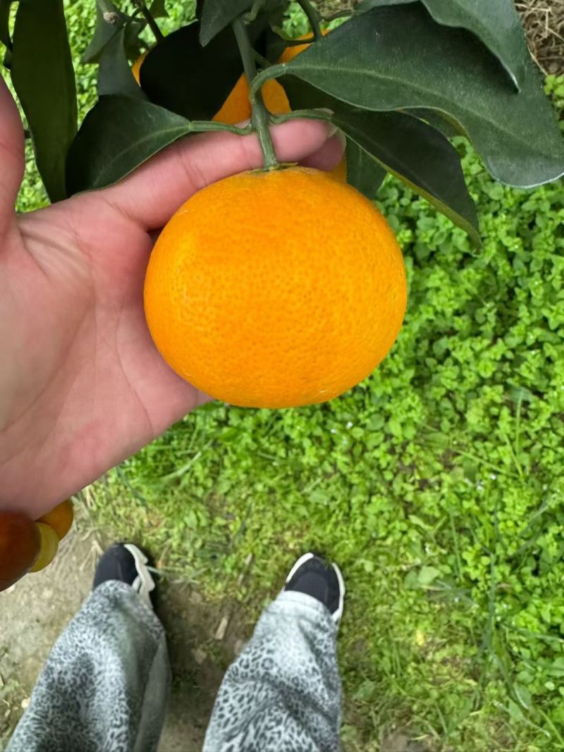 全国一件代发8块钱一箱