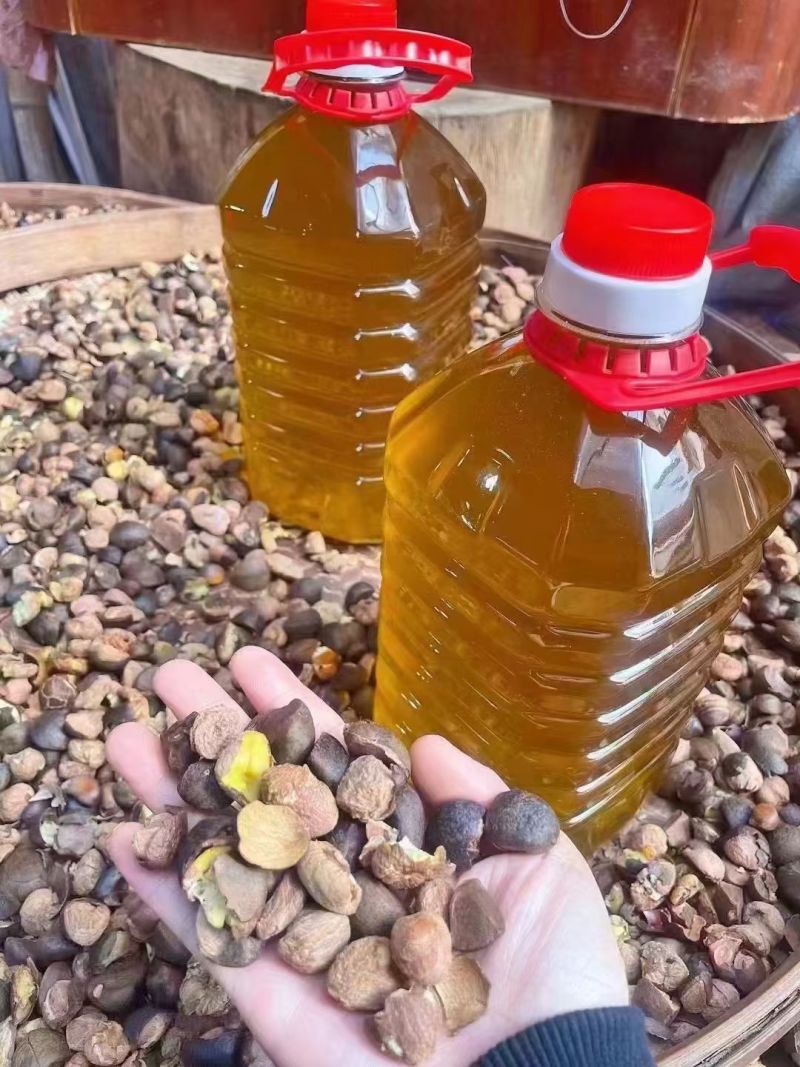 正宗高山茶油，假一赔十
