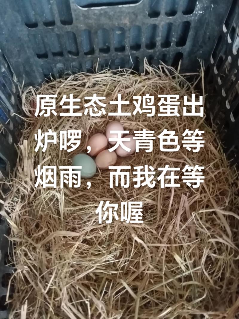 源自世界长寿之乡的正宗生态散养富硒土鸡，富硒土鸡蛋