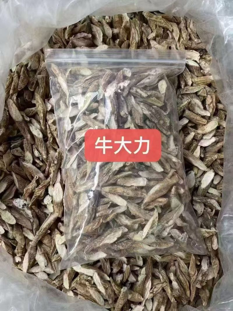 牛大力