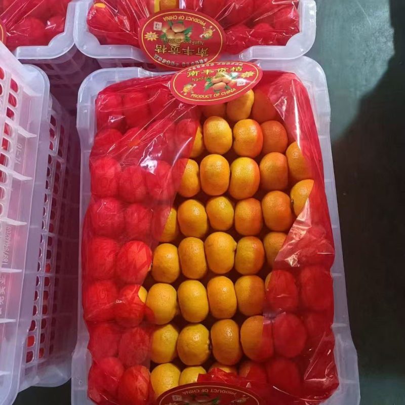 南丰蜜桔蜜广大量上市也可以实地看果糖度15左右整车