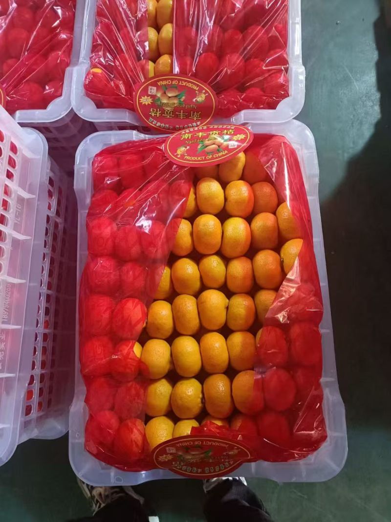 南丰蜜桔蜜广大量上市也可以实地看果糖度15左右整车
