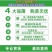 丹东板栗树苗特大耐寒新品种南北方种植当年结果盆栽地栽庭院阳台