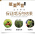 丹东板栗树苗特大耐寒新品种南北方种植当年结果盆栽地栽庭院阳台