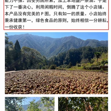 山茶油果子