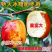 特大冰糖脆枣树苗新品种耐寒耐旱南北方种植盆栽地栽大果冬枣苗