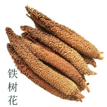 新货中药材铁树花新货铁树雄花干货正品